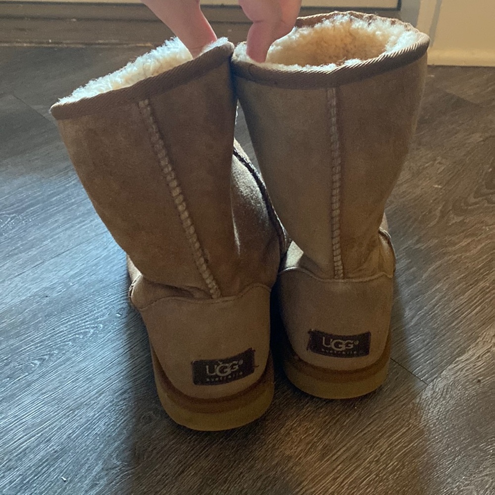 Woman’s Chestnut Ugg Classic Short II